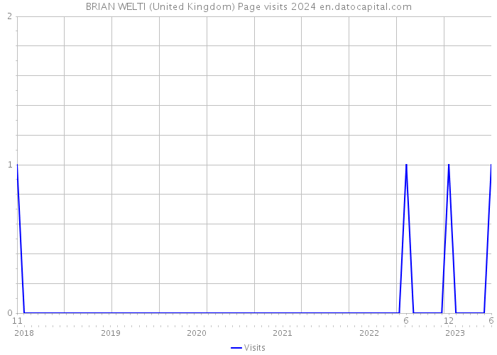 BRIAN WELTI (United Kingdom) Page visits 2024 