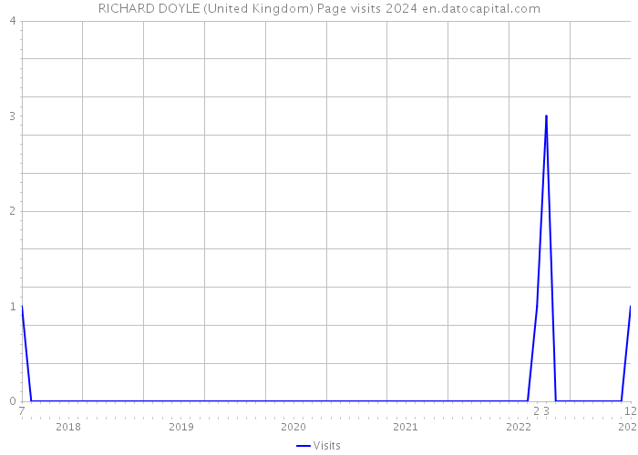 RICHARD DOYLE (United Kingdom) Page visits 2024 