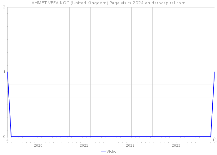 AHMET VEFA KOC (United Kingdom) Page visits 2024 