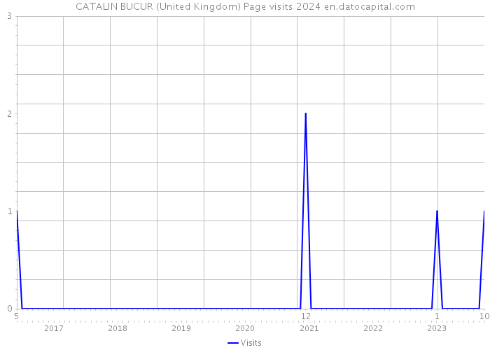 CATALIN BUCUR (United Kingdom) Page visits 2024 