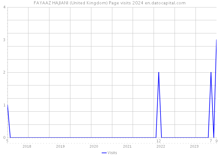 FAYAAZ HAJIANI (United Kingdom) Page visits 2024 