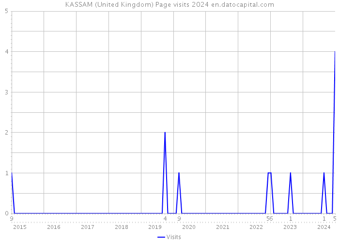 KASSAM (United Kingdom) Page visits 2024 