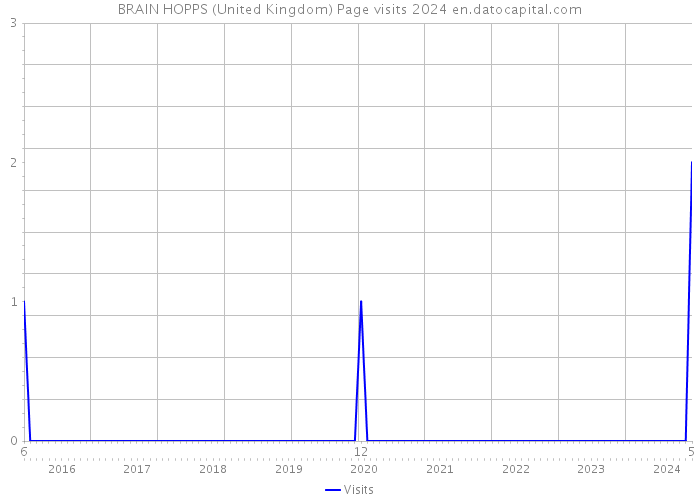 BRAIN HOPPS (United Kingdom) Page visits 2024 