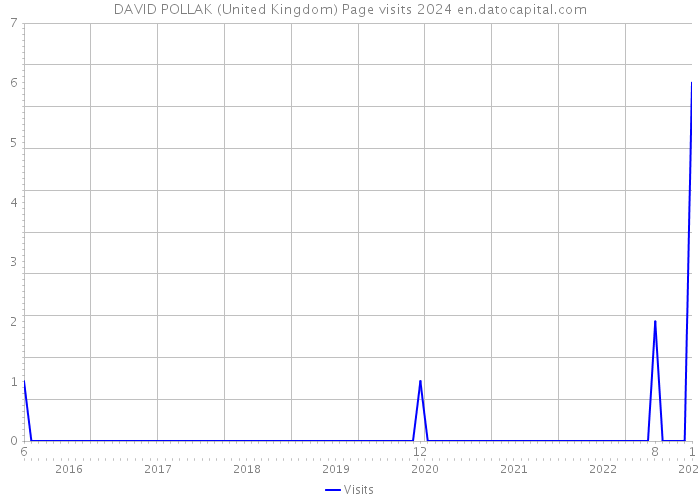 DAVID POLLAK (United Kingdom) Page visits 2024 