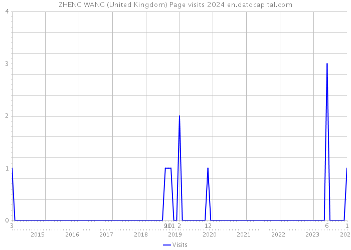 ZHENG WANG (United Kingdom) Page visits 2024 