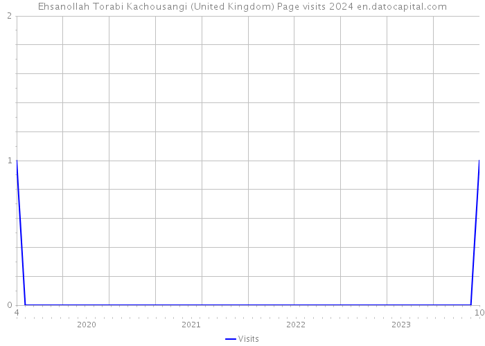 Ehsanollah Torabi Kachousangi (United Kingdom) Page visits 2024 