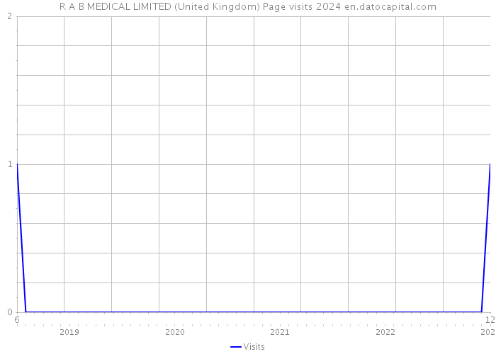 R A B MEDICAL LIMITED (United Kingdom) Page visits 2024 