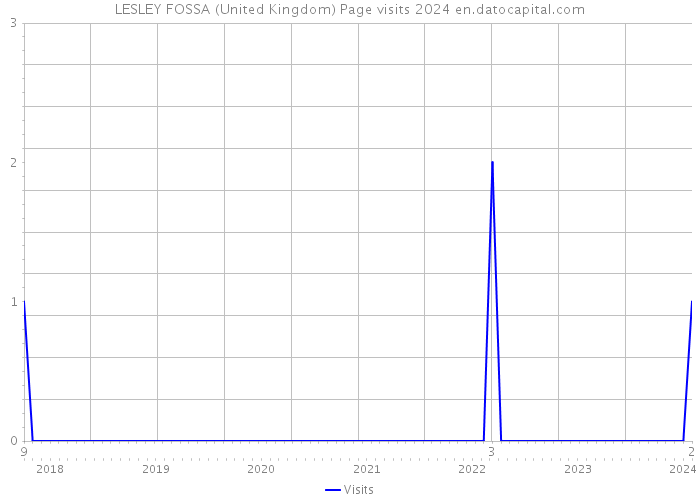 LESLEY FOSSA (United Kingdom) Page visits 2024 