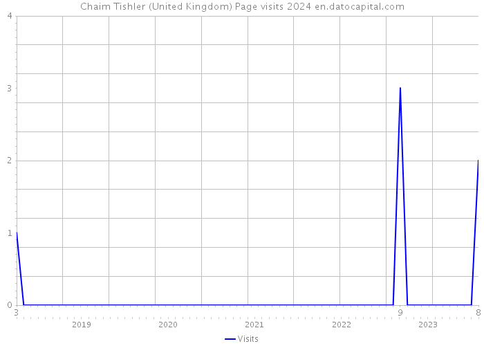 Chaim Tishler (United Kingdom) Page visits 2024 