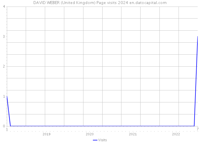 DAVID WEBER (United Kingdom) Page visits 2024 