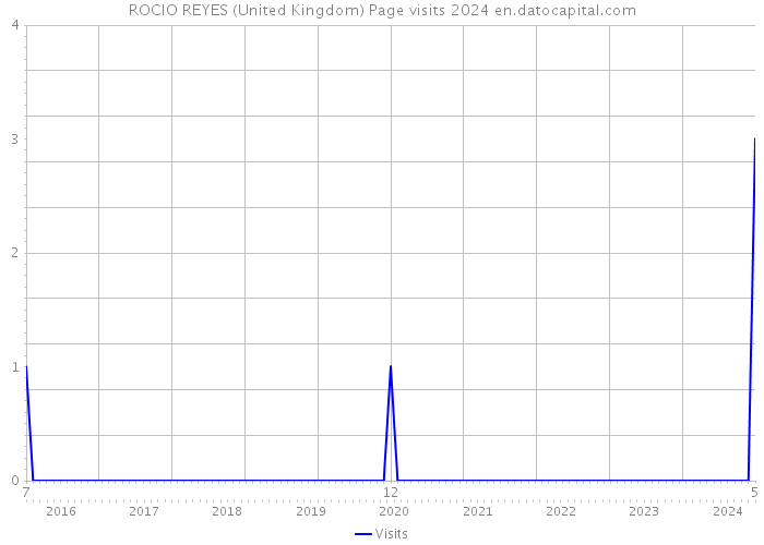 ROCIO REYES (United Kingdom) Page visits 2024 
