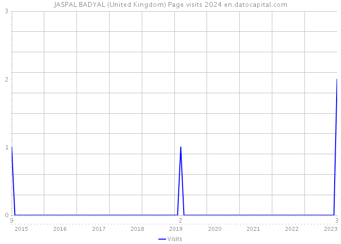 JASPAL BADYAL (United Kingdom) Page visits 2024 