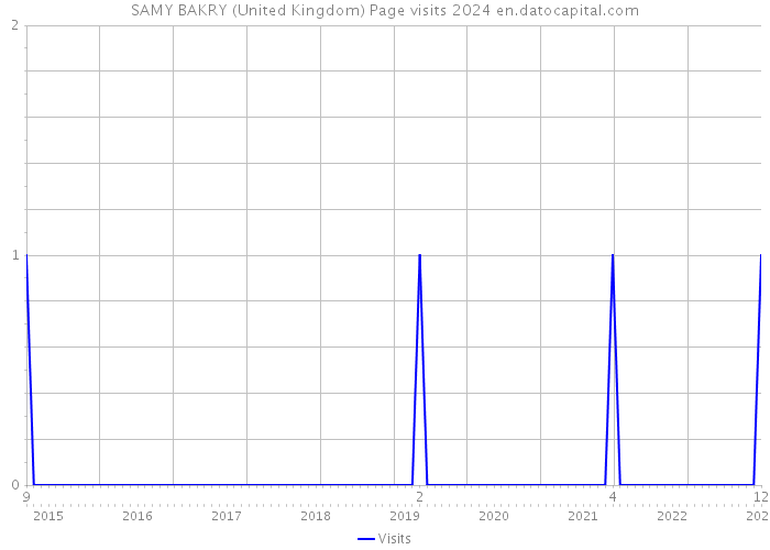 SAMY BAKRY (United Kingdom) Page visits 2024 