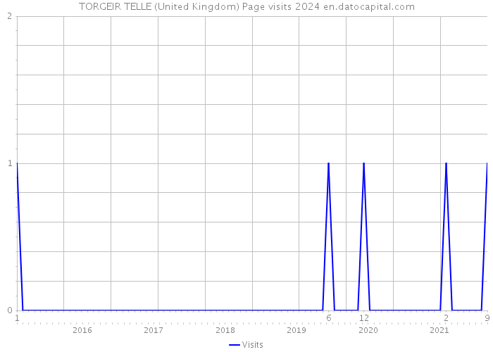 TORGEIR TELLE (United Kingdom) Page visits 2024 