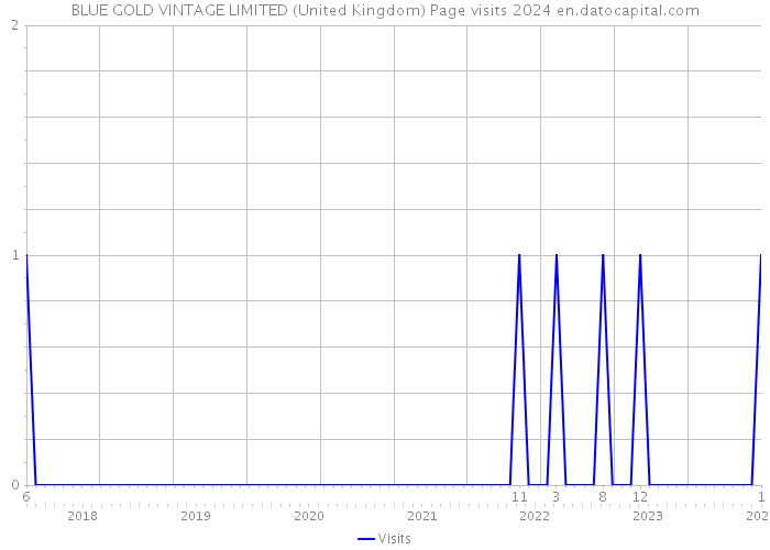 BLUE GOLD VINTAGE LIMITED (United Kingdom) Page visits 2024 