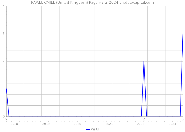 PAWEL CMIEL (United Kingdom) Page visits 2024 