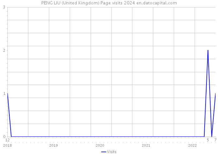 PENG LIU (United Kingdom) Page visits 2024 