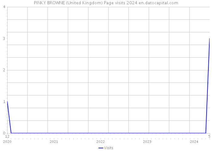 PINKY BROWNE (United Kingdom) Page visits 2024 