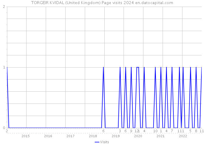 TORGEIR KVIDAL (United Kingdom) Page visits 2024 