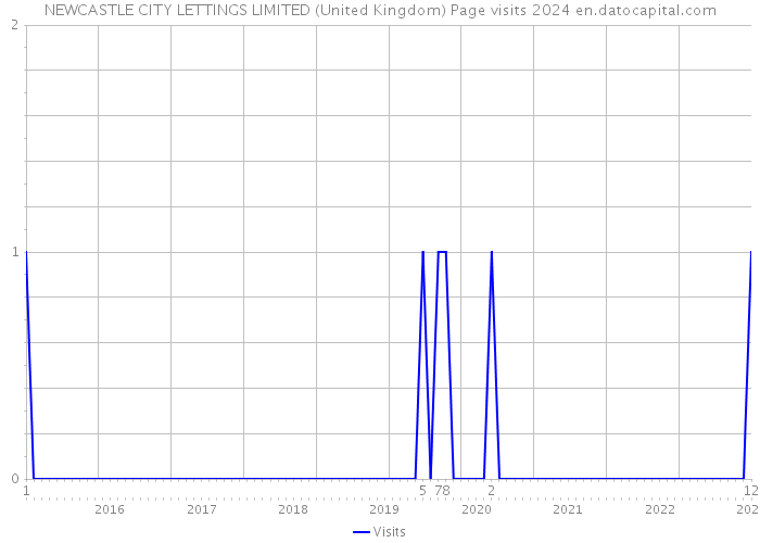 NEWCASTLE CITY LETTINGS LIMITED (United Kingdom) Page visits 2024 