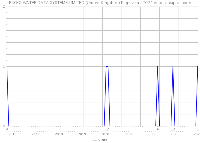 BROOKWATER DATA SYSTEMS LIMITED (United Kingdom) Page visits 2024 