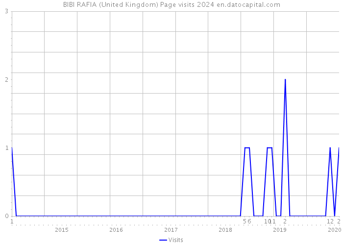 BIBI RAFIA (United Kingdom) Page visits 2024 