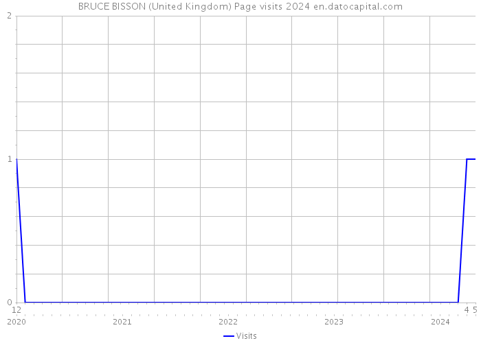 BRUCE BISSON (United Kingdom) Page visits 2024 