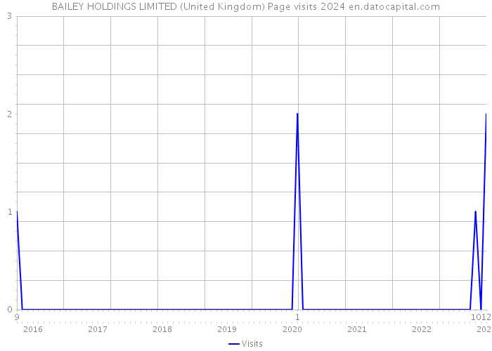 BAILEY HOLDINGS LIMITED (United Kingdom) Page visits 2024 