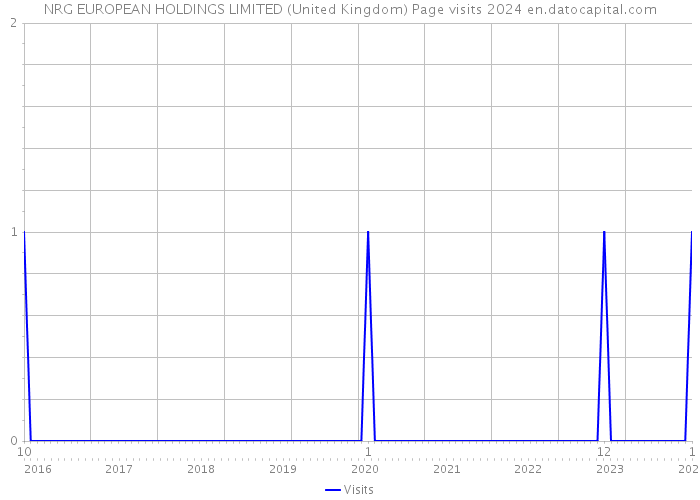 NRG EUROPEAN HOLDINGS LIMITED (United Kingdom) Page visits 2024 