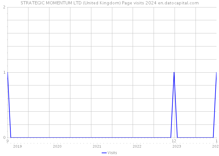 STRATEGIC MOMENTUM LTD (United Kingdom) Page visits 2024 