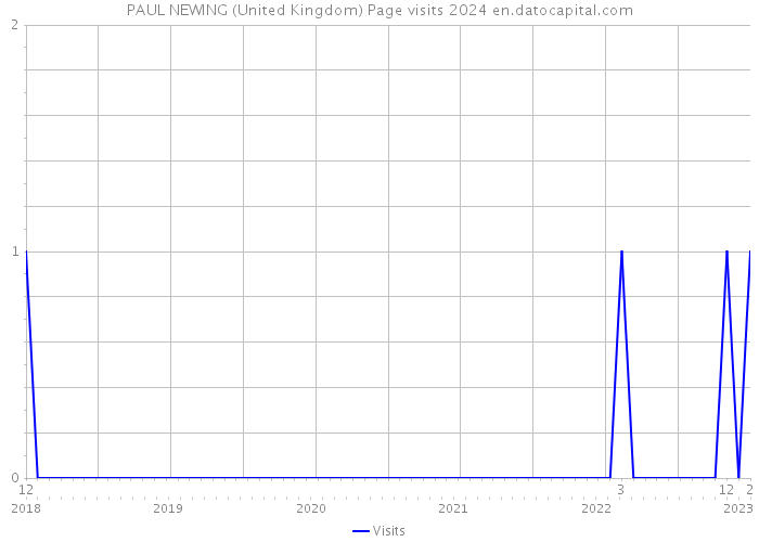 PAUL NEWING (United Kingdom) Page visits 2024 