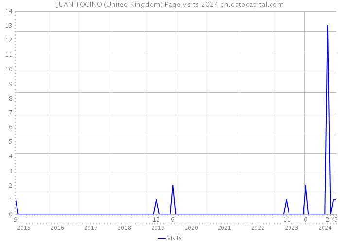 JUAN TOCINO (United Kingdom) Page visits 2024 