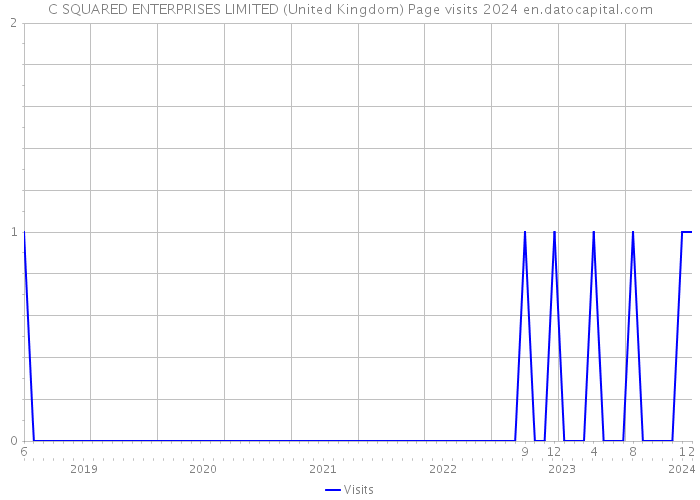 C SQUARED ENTERPRISES LIMITED (United Kingdom) Page visits 2024 