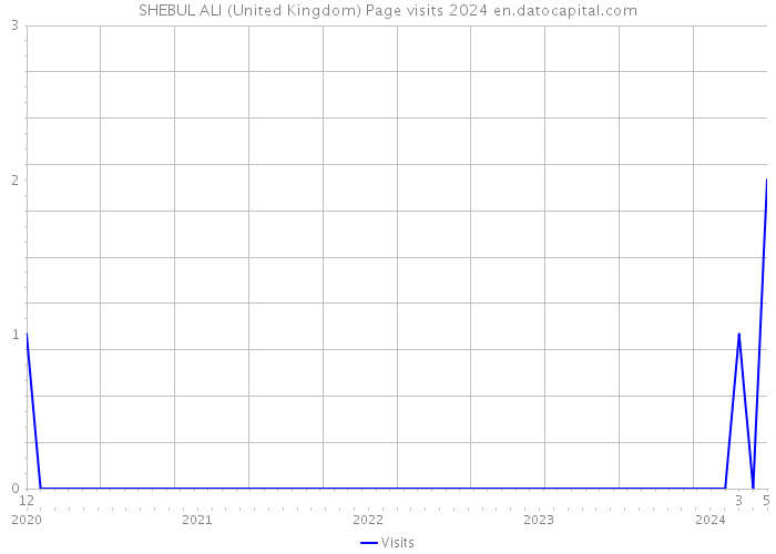SHEBUL ALI (United Kingdom) Page visits 2024 