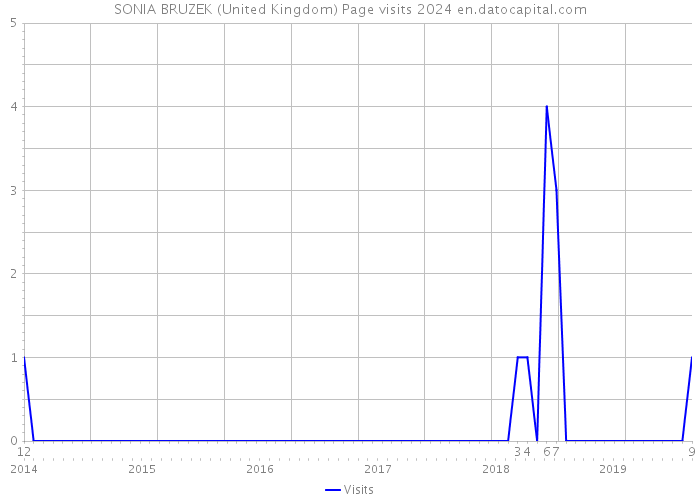 SONIA BRUZEK (United Kingdom) Page visits 2024 