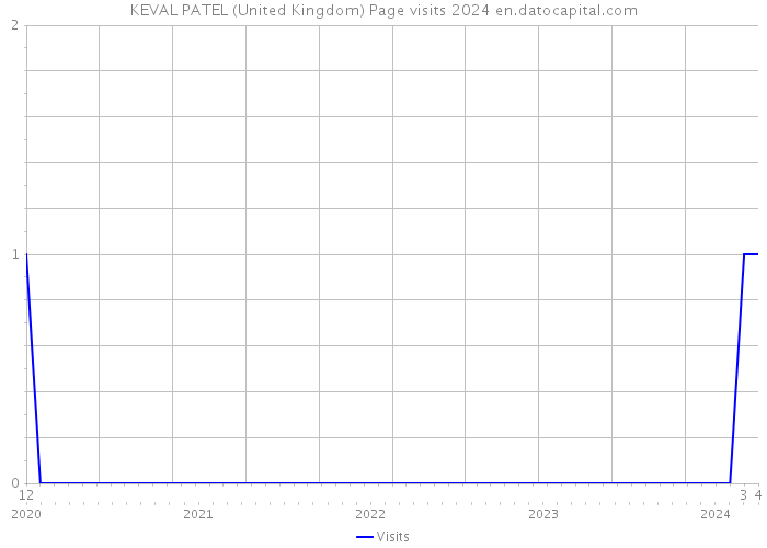 KEVAL PATEL (United Kingdom) Page visits 2024 