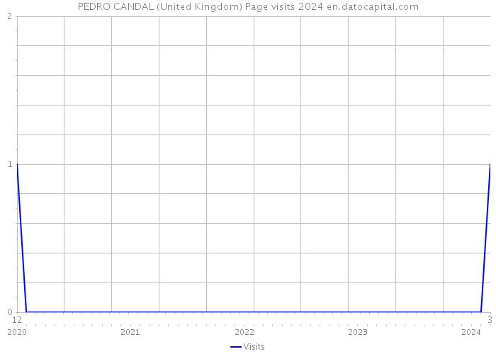 PEDRO CANDAL (United Kingdom) Page visits 2024 