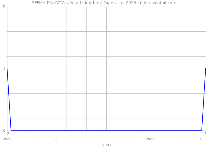 REEMA PANDITA (United Kingdom) Page visits 2024 