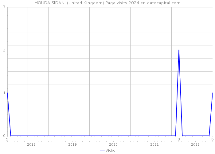 HOUDA SIDANI (United Kingdom) Page visits 2024 
