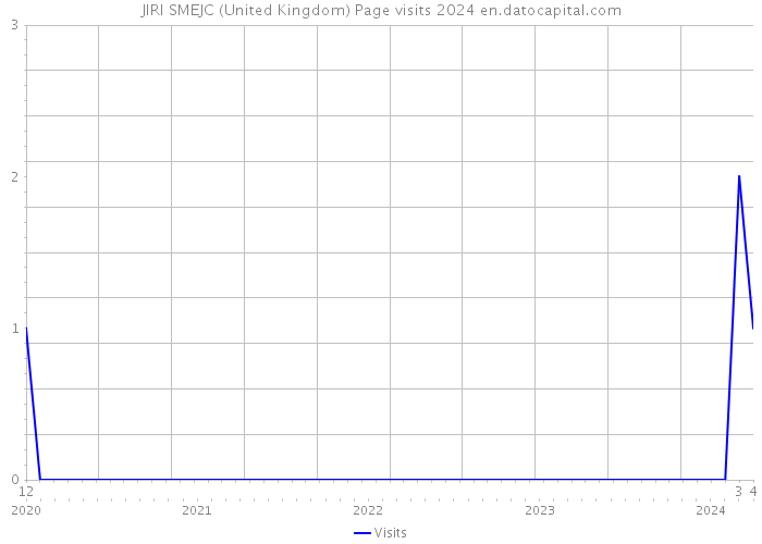 JIRI SMEJC (United Kingdom) Page visits 2024 