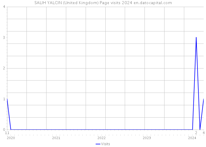 SALIH YALCIN (United Kingdom) Page visits 2024 