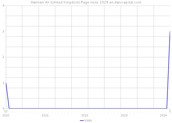 Hannan Ali (United Kingdom) Page visits 2024 