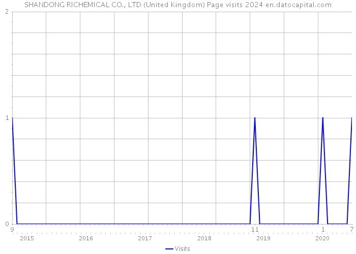 SHANDONG RICHEMICAL CO., LTD (United Kingdom) Page visits 2024 