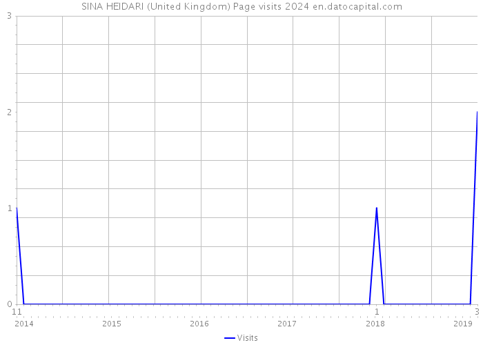 SINA HEIDARI (United Kingdom) Page visits 2024 