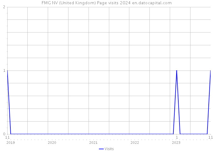 FMG NV (United Kingdom) Page visits 2024 