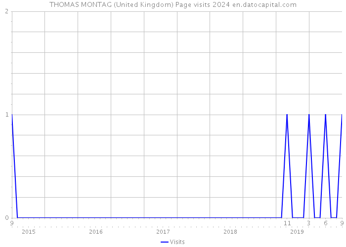 THOMAS MONTAG (United Kingdom) Page visits 2024 