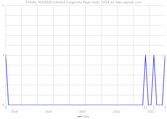FAISAL HUSSAIN (United Kingdom) Page visits 2024 