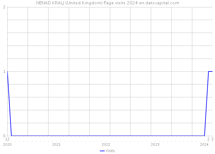 NENAD KRALJ (United Kingdom) Page visits 2024 