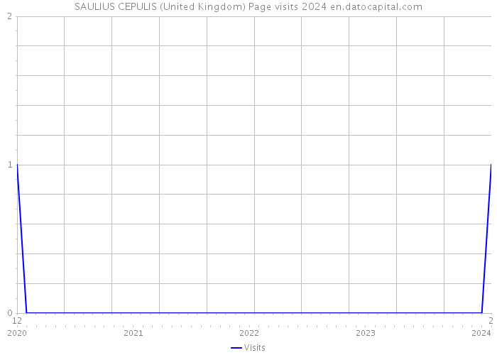 SAULIUS CEPULIS (United Kingdom) Page visits 2024 