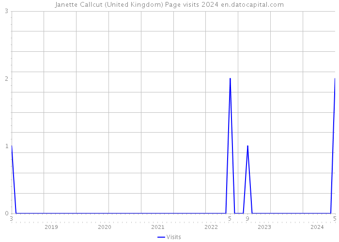 Janette Callcut (United Kingdom) Page visits 2024 